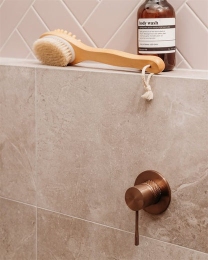 Gratis Valencia Brochure